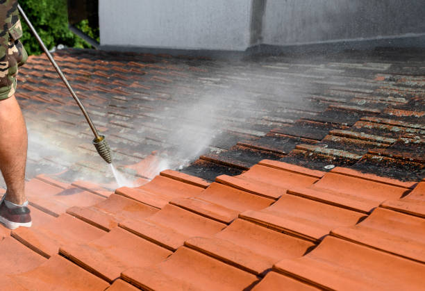 Best Pressure Washing Near Me  in Nes, IL