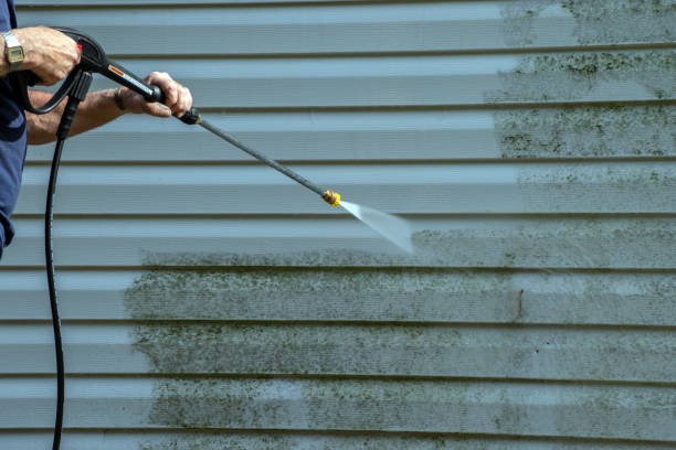 Best Fence Pressure Washing  in Nes, IL