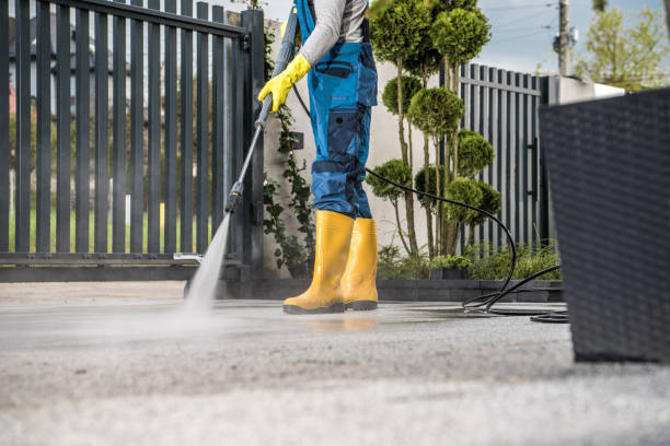 Best Pressure Washing Siding  in Nes, IL